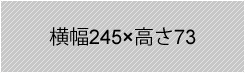 横幅245px×高さ73px